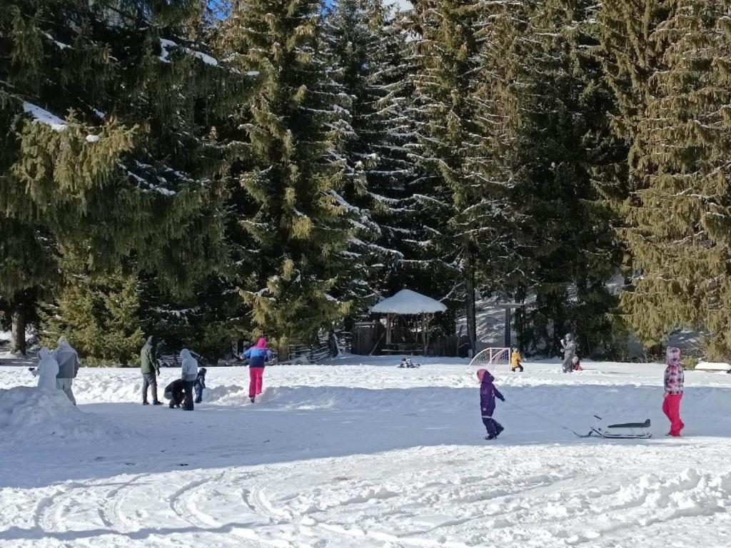 Утро Без Аларма, Смолянски Езера. Alarm Free Morning Smolyan Lakes エクステリア 写真